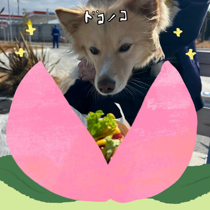 39279688 99fe 4dea 8573 541894ff506d 1771854784680