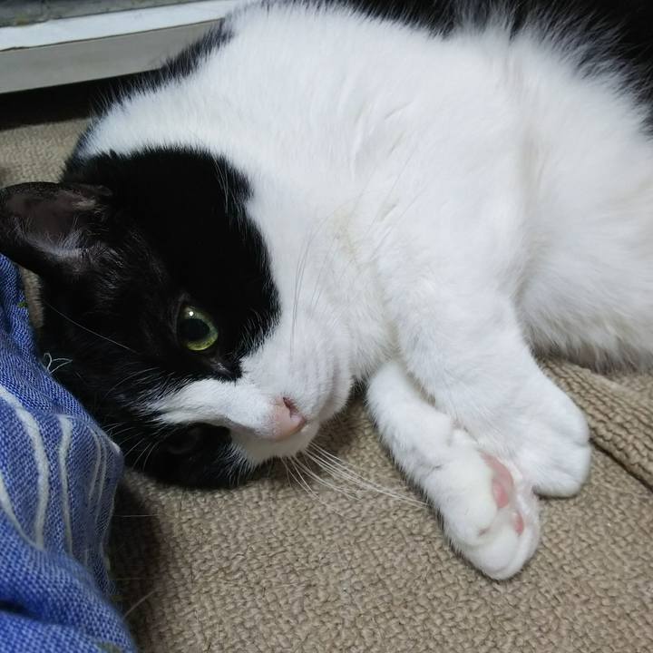 3927bc46 7470 4c35 b3da dcc326c27f3e 1528839956476