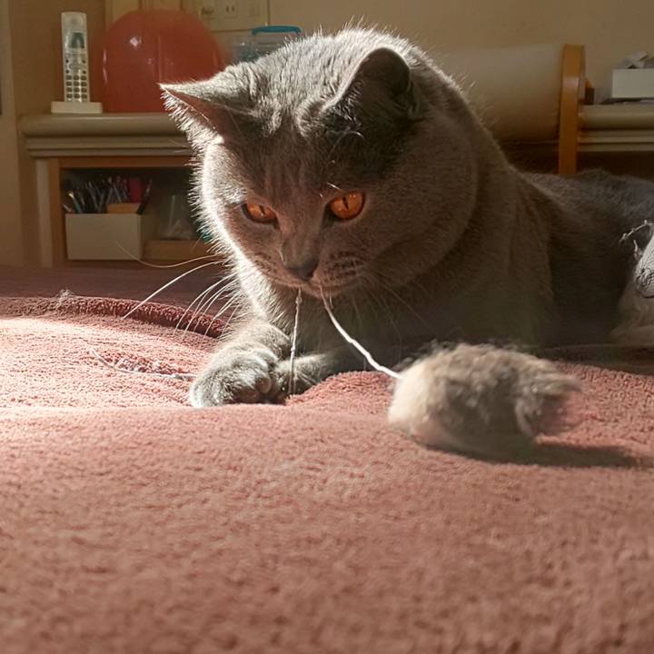 3927bf25 d263 42d6 a99b 42c3dfe3e111 1582590242405