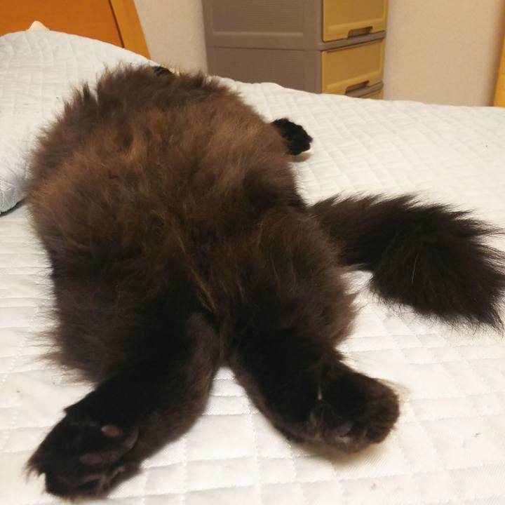 3927c7f2 5bf0 4fe7 bec4 05dfa19d31c7 1568386711314