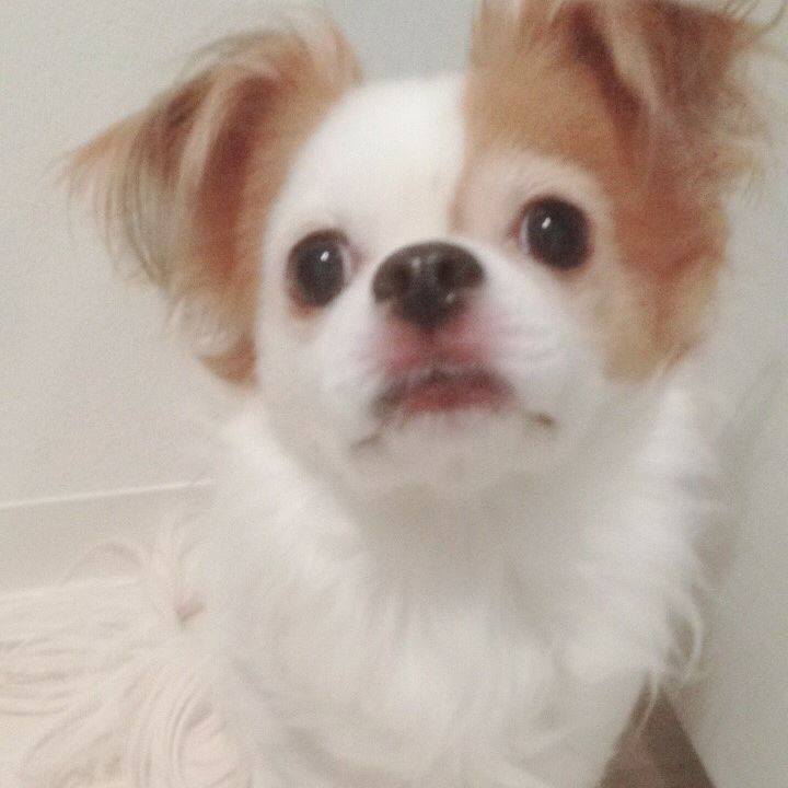 3927d642 b40d 4277 a263 994068e0bc44 1519041149750