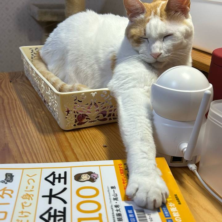 3928118b 83c1 4d7f bebd 5364e3068162 1680383272266