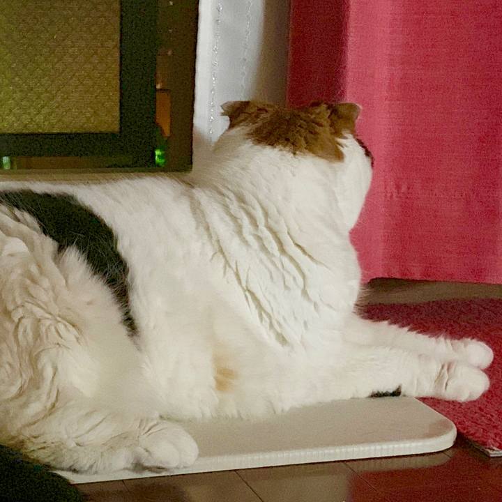 39287728 9692 4360 8a54 d9180704dea8 1564927212912