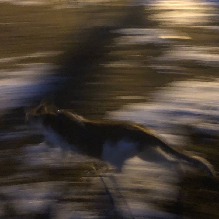 3928c5f3 2a33 4bfa a884 3ad2abdbf8ba 1554975908214