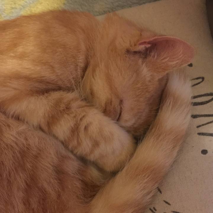 3928c8d6 f86a 428c b472 2a331c15ef03 1572353511136