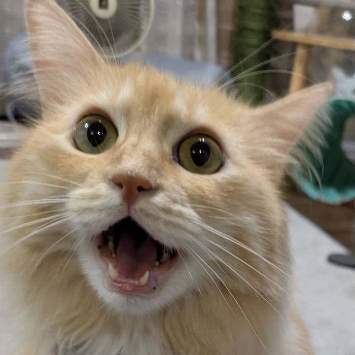 3928fceb 6e71 4226 bf12 5720c106420f 1757932268994