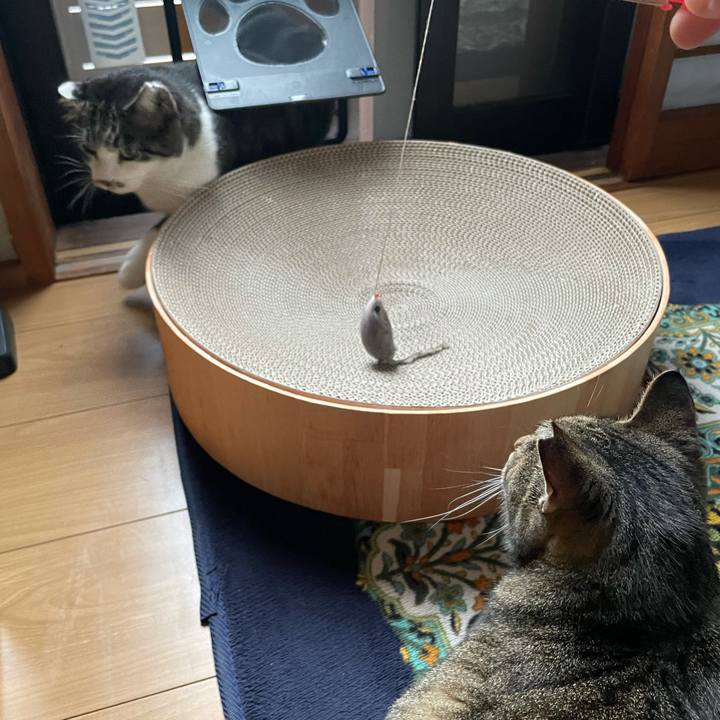 392924ba e1c5 46e1 a408 5c02ab861389 1634021249718