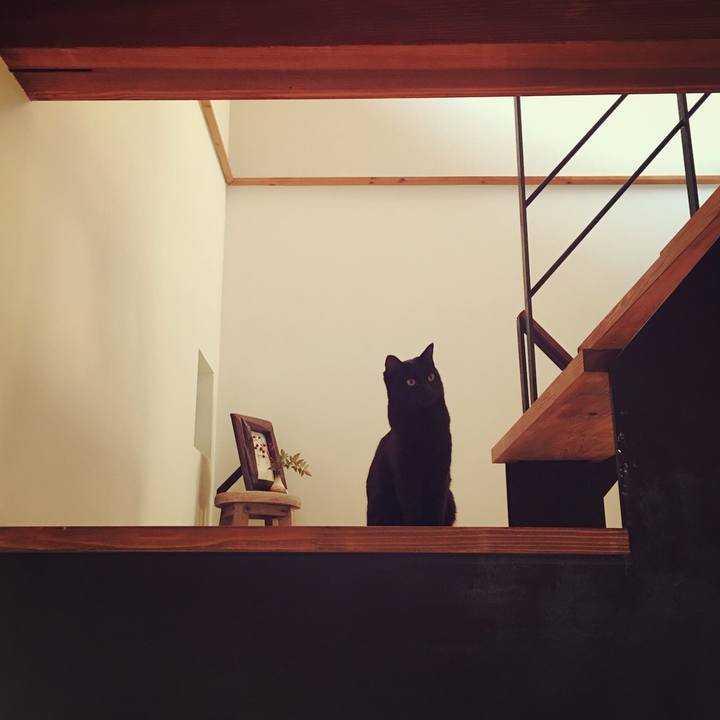 39293d10 df9a 4dd6 a837 6b4a1f042ad7 1514984753124