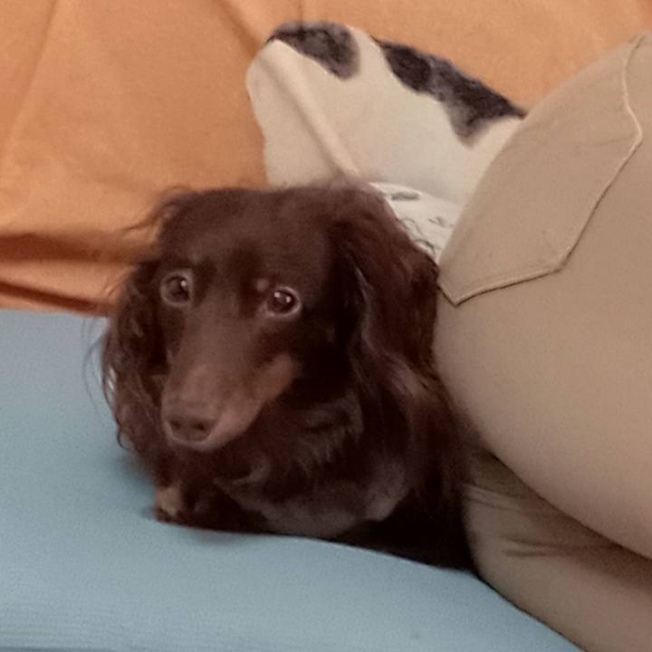 39294ee1 7333 4f70 be44 d4e887b68660 1757972386208