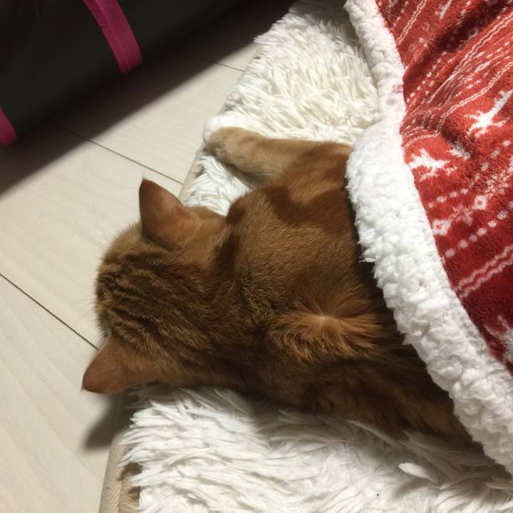 3929698d f7fa 43f0 9313 65672ff27c5b 1574585937533