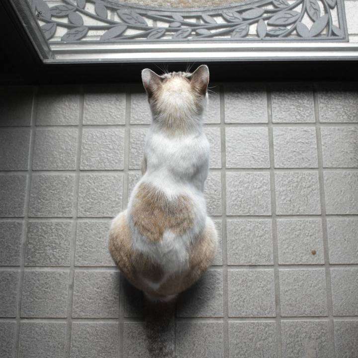 39296da6 6a37 42f3 9eba 3c0ab96b6fcc 1537068645818