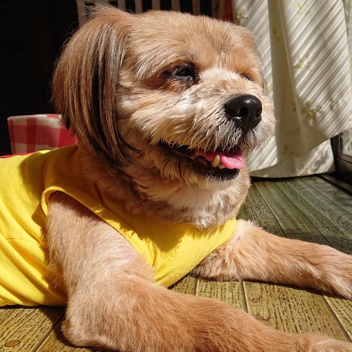 39297485 4e63 4531 9eec db0983c3af23 1582166115945