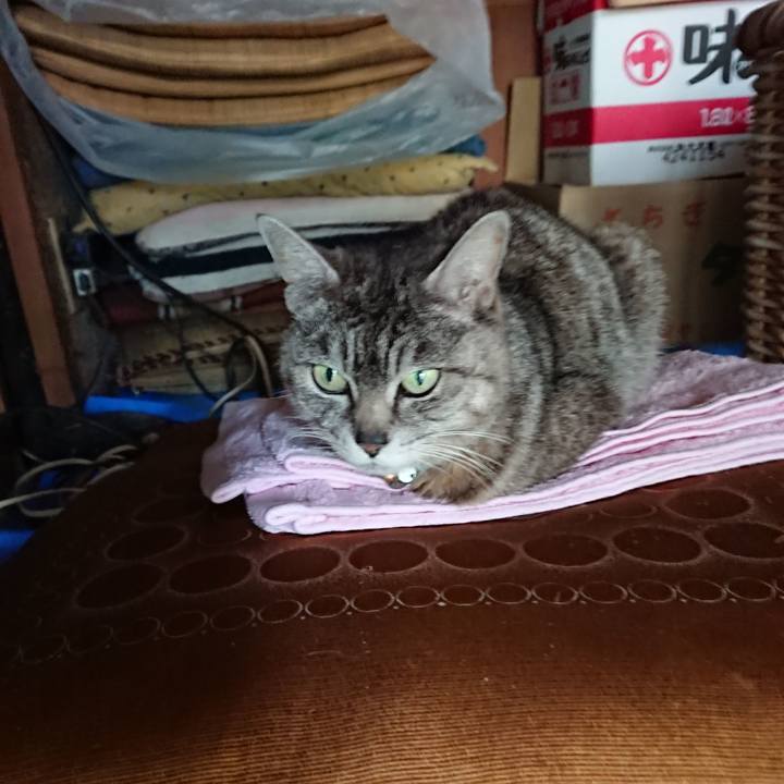 3929ad7a 4295 4b86 a0a4 3d3531e4164e 1558689286941