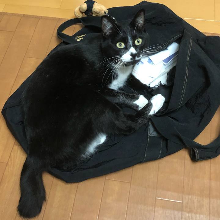 3929f348 2b11 4407 822a 562573536f94 1548214588441