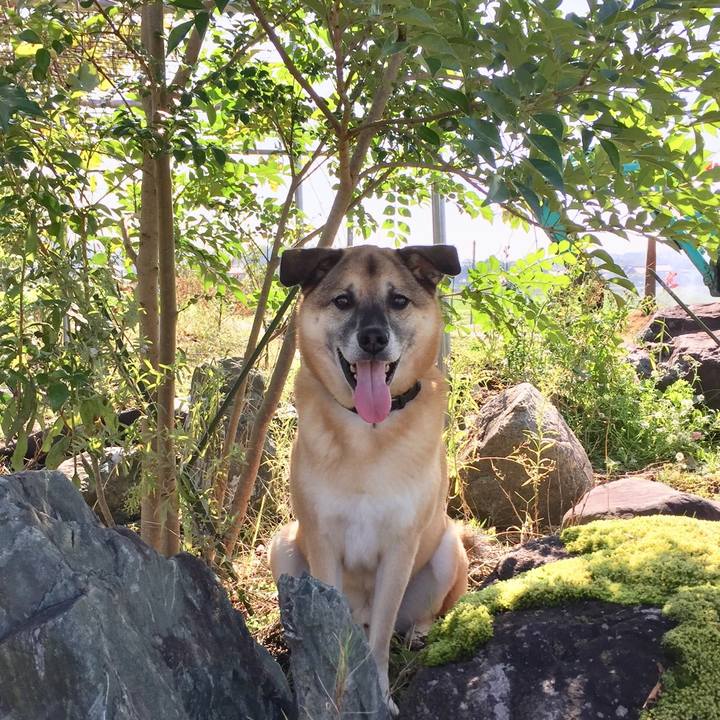 392a51f2 c704 484e 8be2 0981b816ac8b 1509009200921