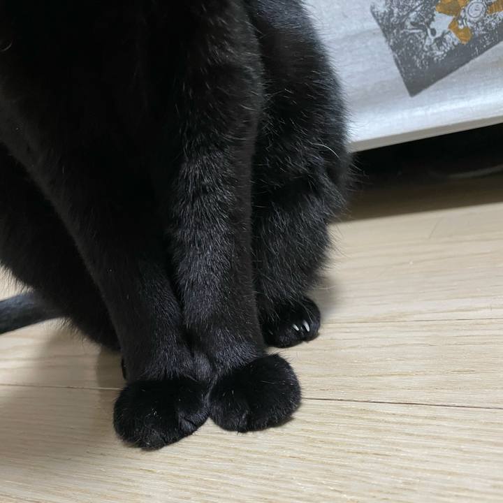 392a7373 0185 4f54 a789 0c3015724a6e 1764855018692