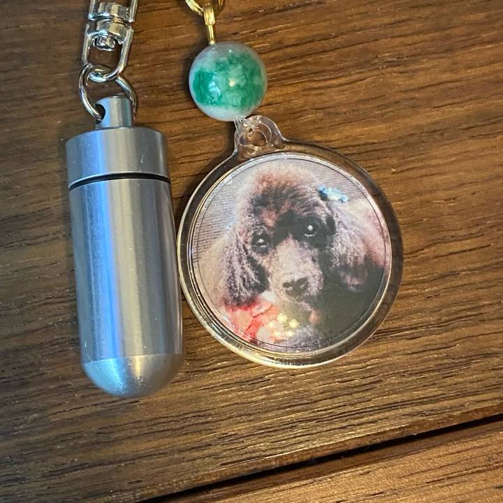 392a9b5d 0f00 4910 a836 14a400f27260 1624424525925