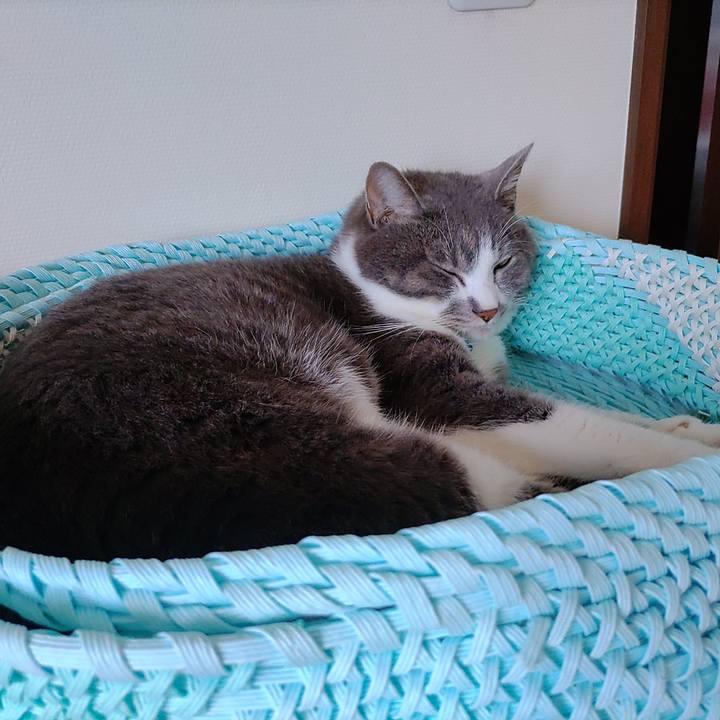 392ab4d2 cf47 47d5 abf6 ec5d4222dff0 1723598924219