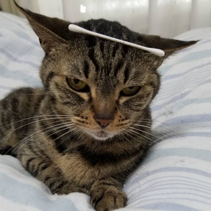 392b1960 a5d1 45f3 bd95 31dff0908464 1591134149315