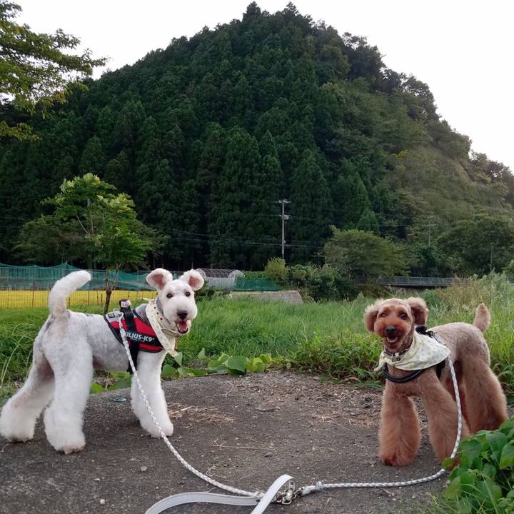 392b1989 f744 4e5f 8f57 782b119f5264 1567859397360