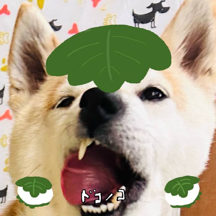 392b2ad3 ba97 48b9 a827 dc01cf9acc6f 1749127886708