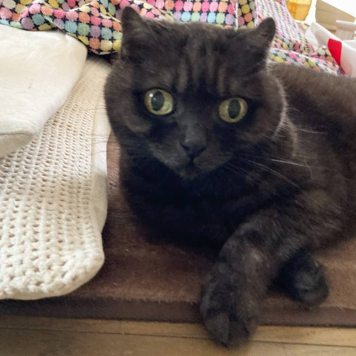 392b708f a8f4 4a29 844a de8b4a15e214 1610885304062