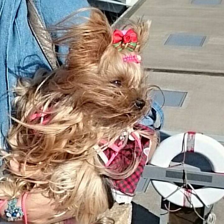 392b72b0 c1bf 46b5 bd43 f854c714c2ec 1537515754642