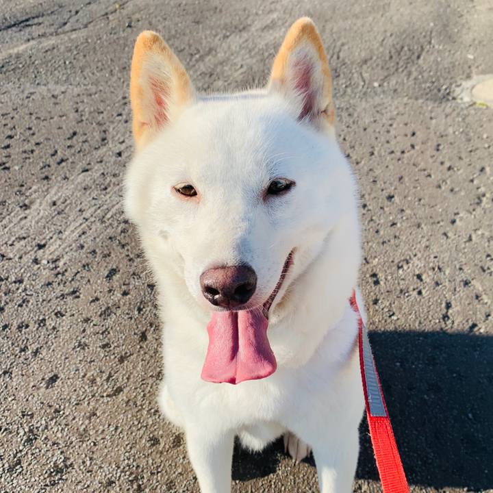 392b88f8 6c03 401b bd12 af6135464479 1565820137913