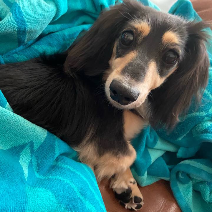 392bc30a 5cc3 44bc 9a85 27818a5e6a1a 1720062798748