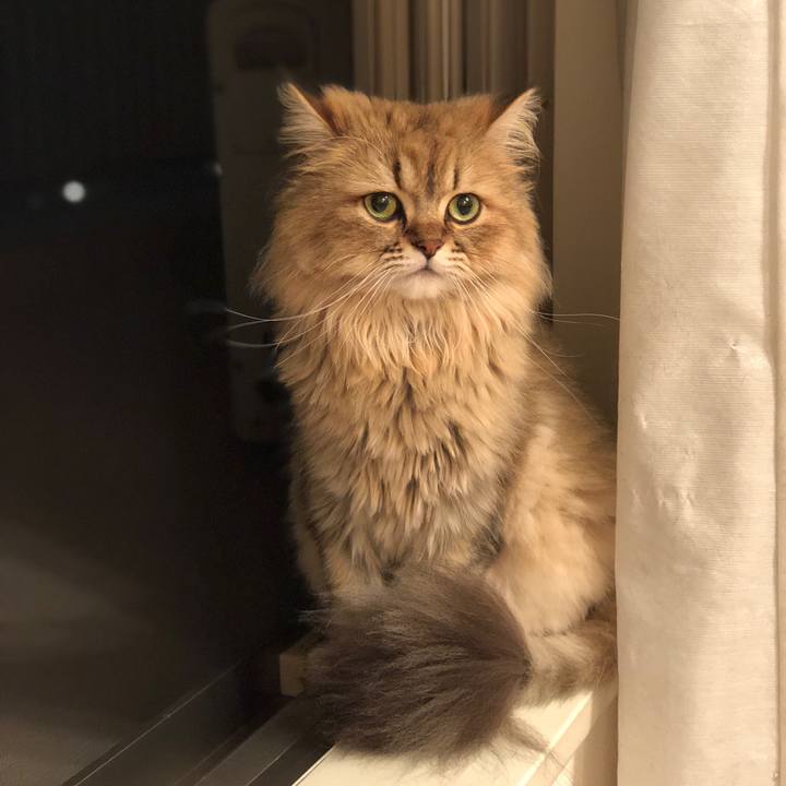 392be05f 099b 48a6 b439 c683636b952d 1529841314744