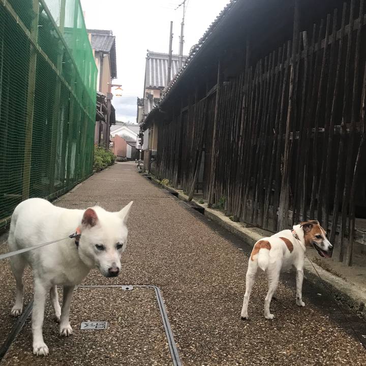 392beb06 119a 44ac 9846 29ee894cfd76 1528635286936