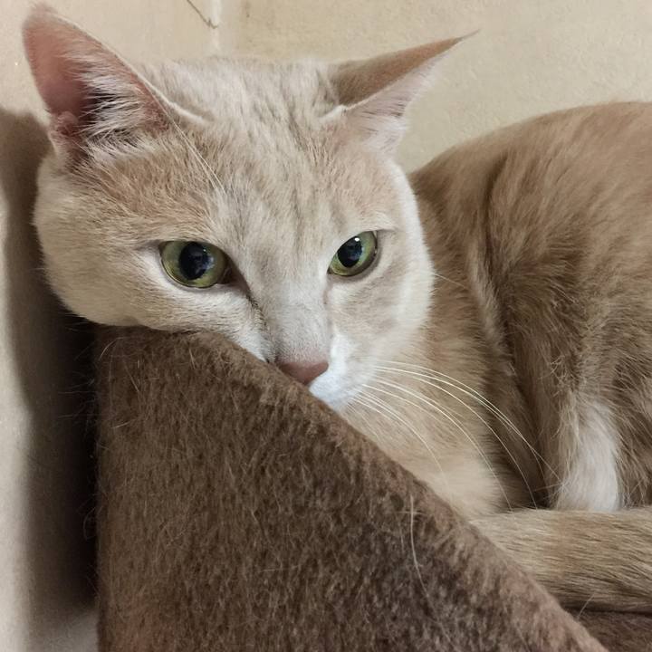 392c09ff 570d 4726 8773 c204a717d048 1519295506671