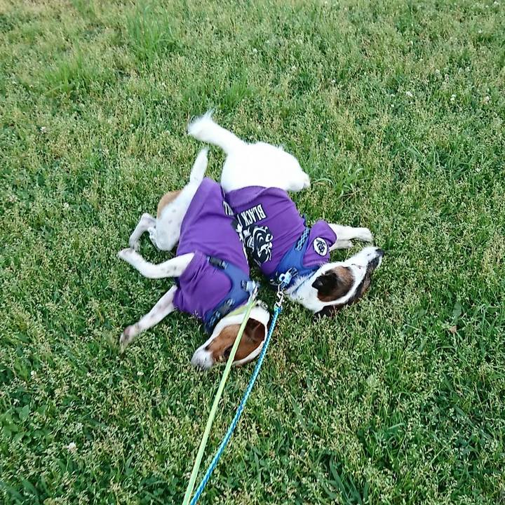 392c3449 9752 4d80 83a2 36405e6c7e6a 1589708513476