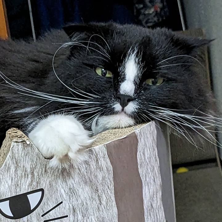 392c5607 2613 4d0d 9747 73db10738406 1685271387278