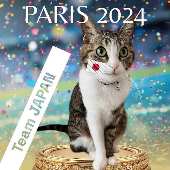 392c7733 f26a 48b5 a599 fb26800a88b3 1722688877337