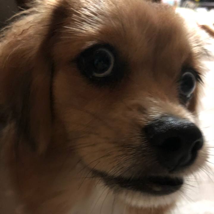 392c814c fe57 4d47 9348 30498b485a4c 1508191852216