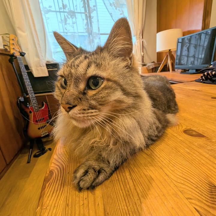 392caecc cb63 4268 9a39 3a85d5f8304c 1783379121827