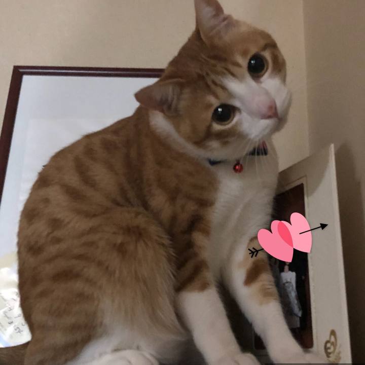 392cd41c 7705 44dd 9357 e3a9d79b6c64 1518239057194