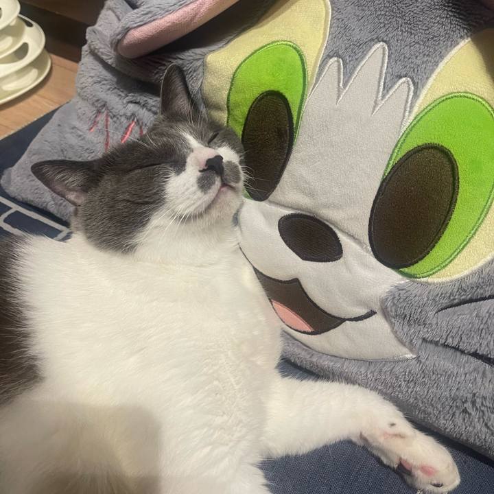 392cfed4 dd5d 4a94 b153 42e18eb696b7 1727364024362