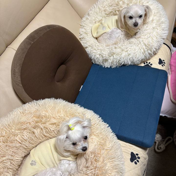 392d01ea 36c6 4887 8f24 b271b7526139 1768990064048