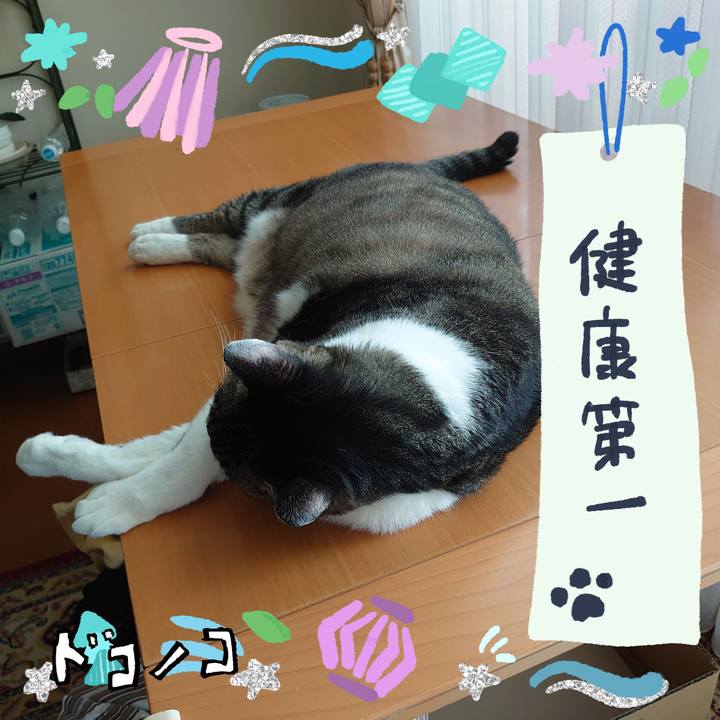 392d0751 17d5 4471 bfff ea2f3e914f18 1720917394298