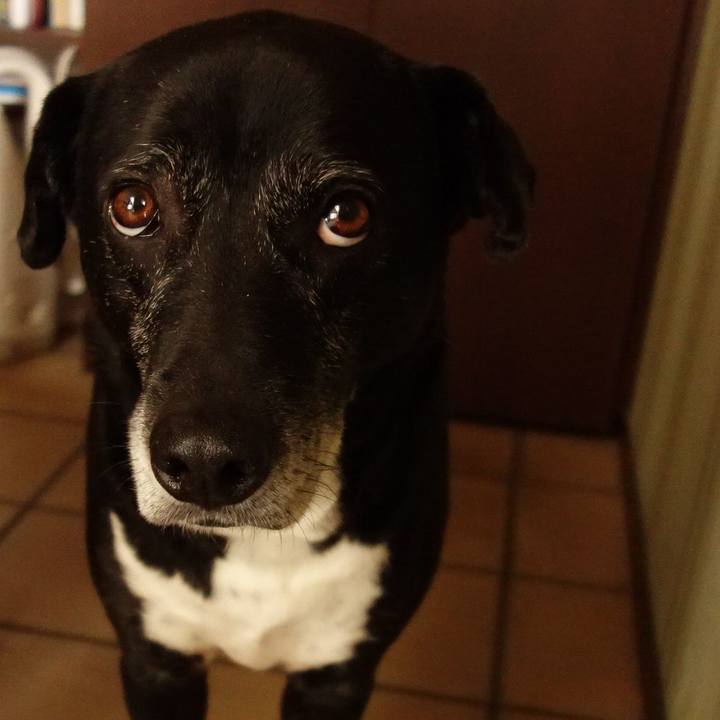 392d16b6 2a44 4cbd a0ab dae0f45e7a33 1746145255442