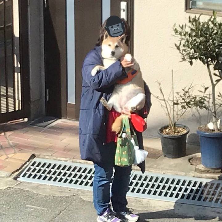 392d286c 7e78 483b a0c3 2cafcd23218b 1519883727670