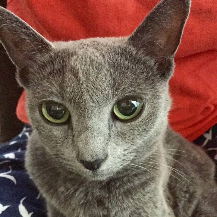 392d3e97 7f40 4076 b95a 94c2f3f73e22 1513165211230