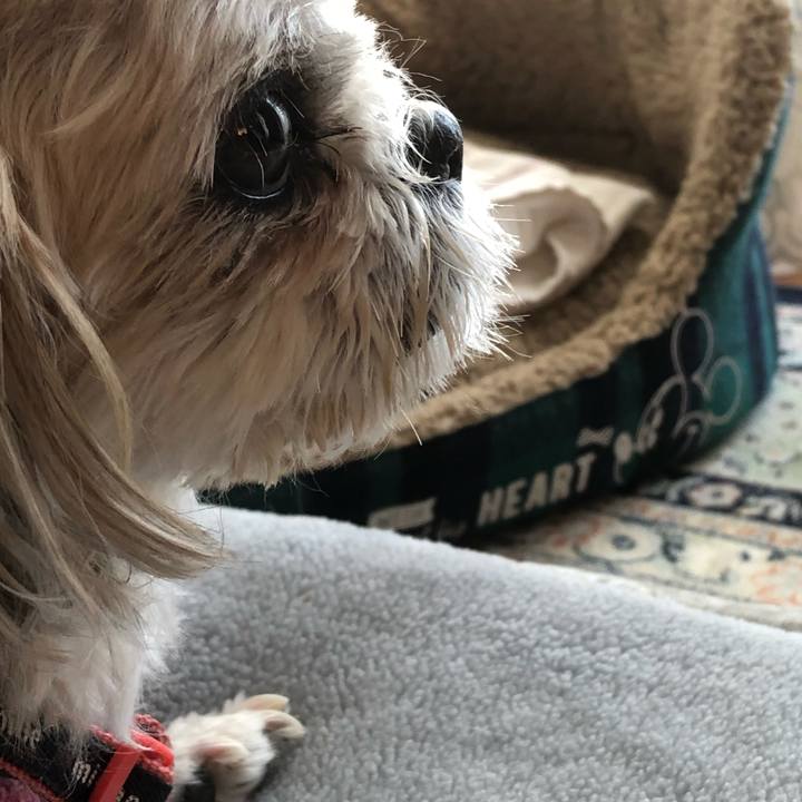 392d61ed a8d9 456a 8ccc 6003a775a729 1637975838181