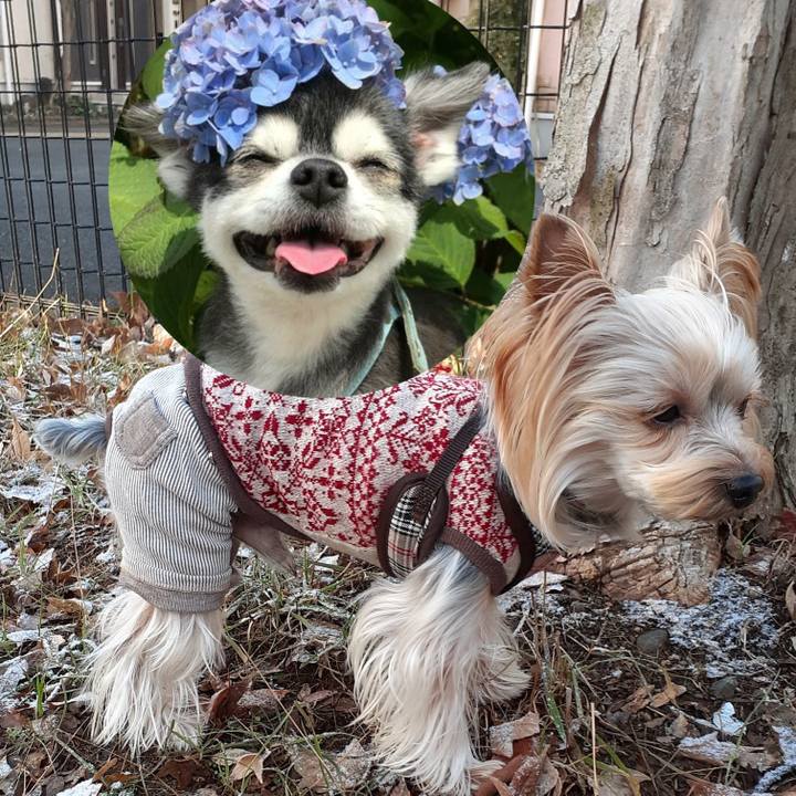 392d7bee e5d0 4bb8 b301 cb3d13e4f3f3 1614982384603