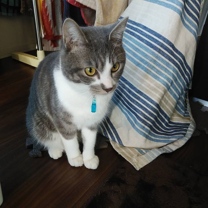 392d9d4d c12c 40a1 8d07 2ac9e1b43443 1581377564619