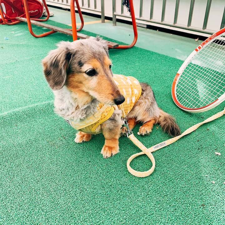 392dc31d c606 4d34 af6f bbe2d8a4d341 1548513698643