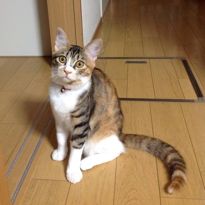 392dc5e5 a57d 42d7 b150 2e30aa257b88 1636962840477