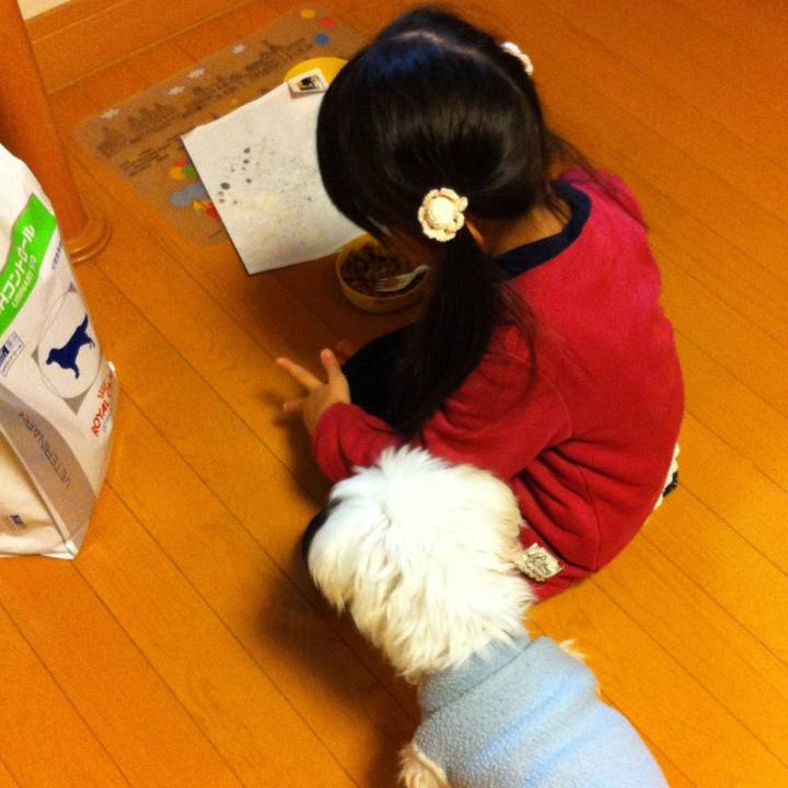 392dd538 9654 4530 a73b 57486e30488a 1586520341549